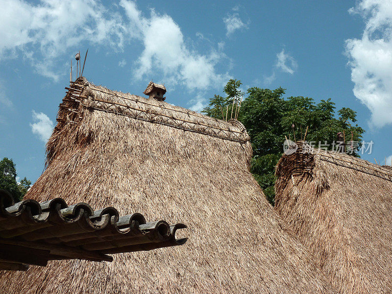 roof House, Luba村，Bajawa -印度尼西亚